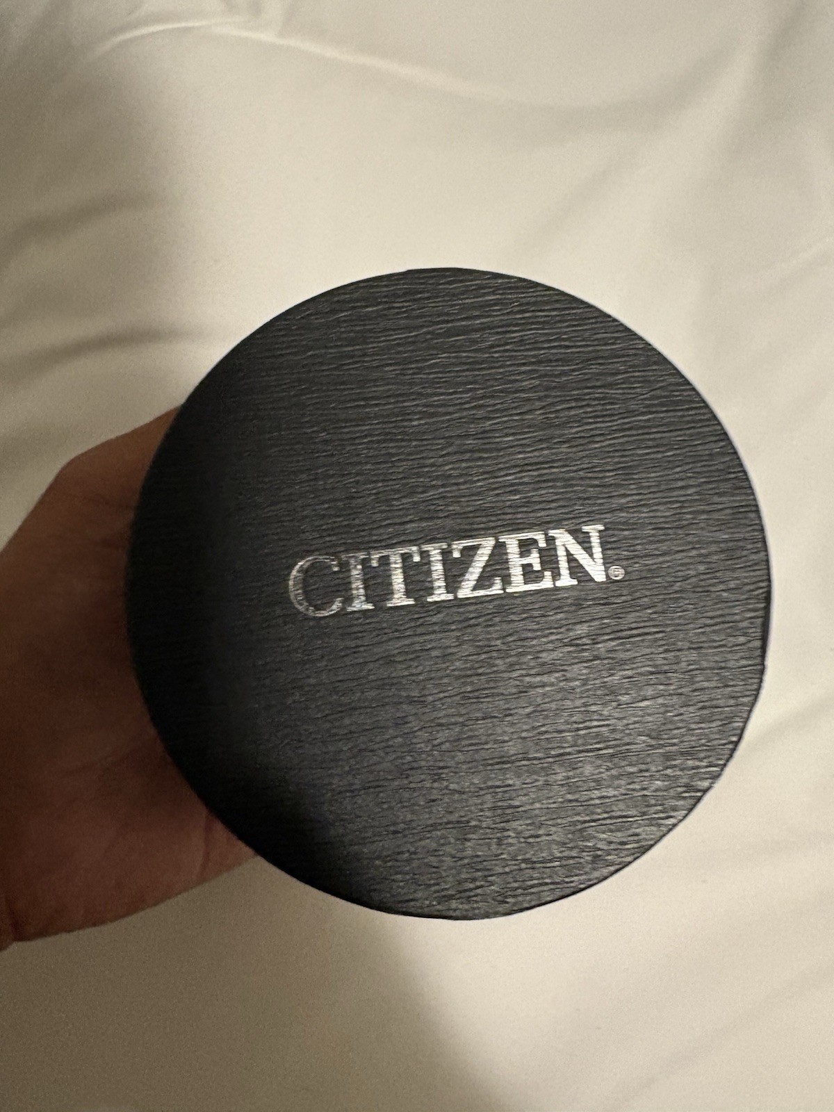 Citizen Men’s Eco-Drive Perpetual