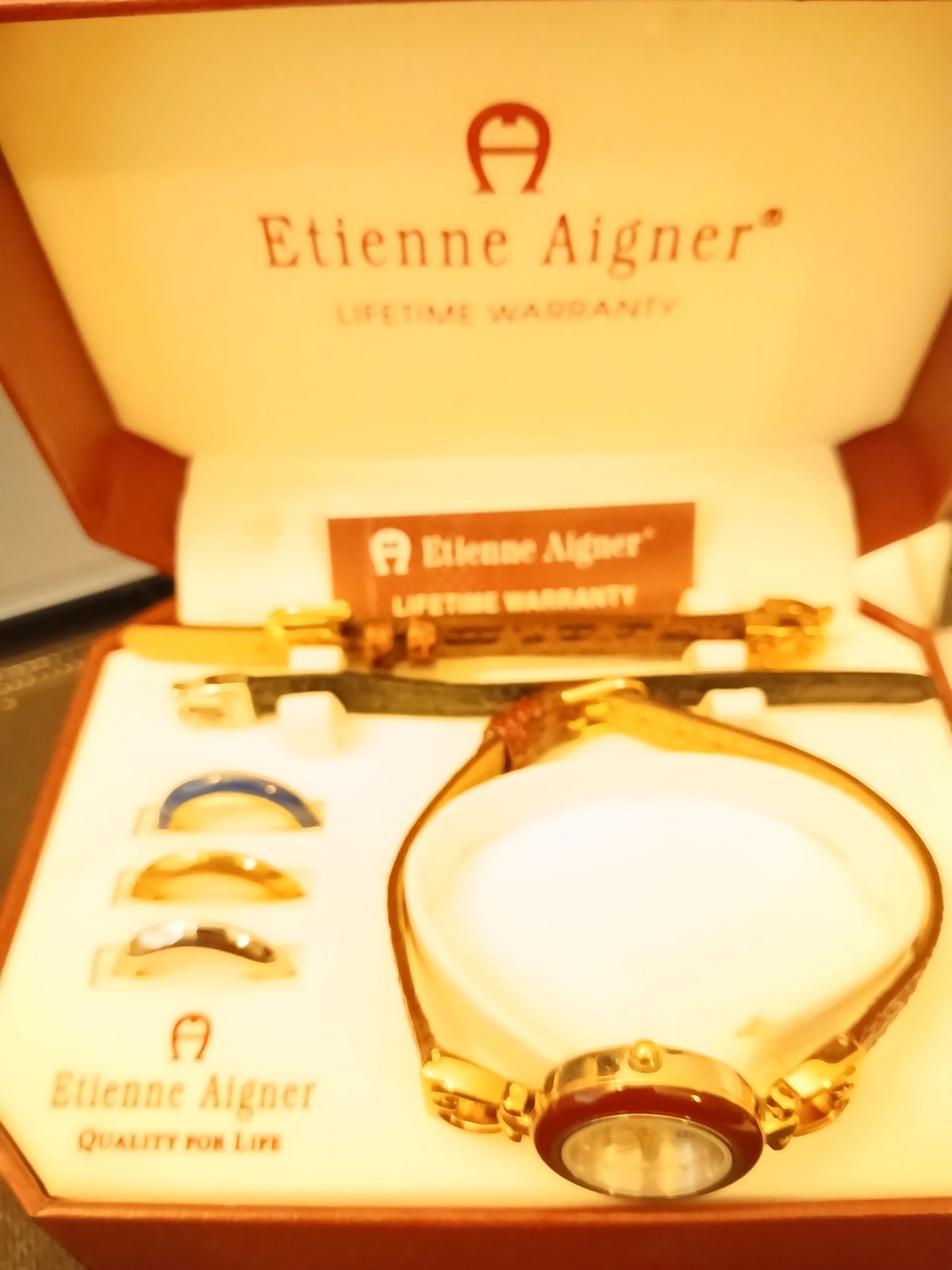 Etienne Aigner Women’s Dress Quartz Analog Watch Gold Brown Leather 24-27mm Box